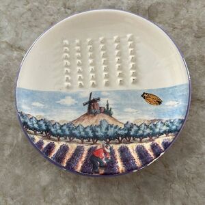 Italian Ginger or Garlic Grater